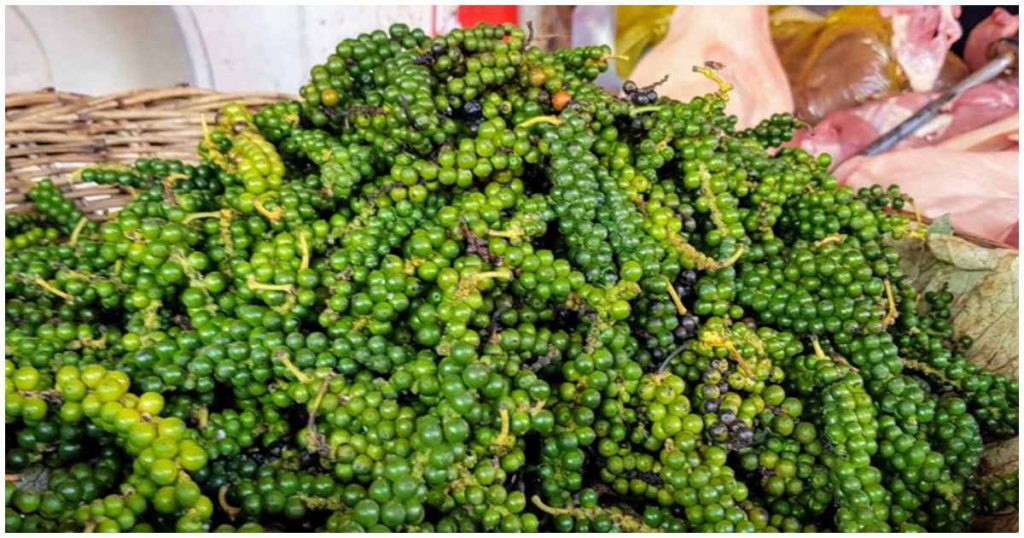 black pepper at home malayalam tips and tricks