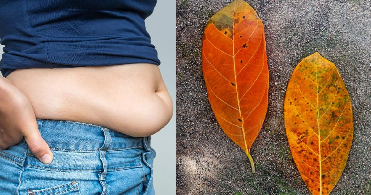 Belly Fat Reducing tips