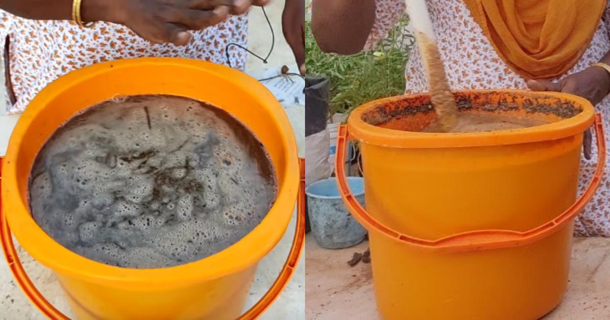 Best organic liquid fertilizers
