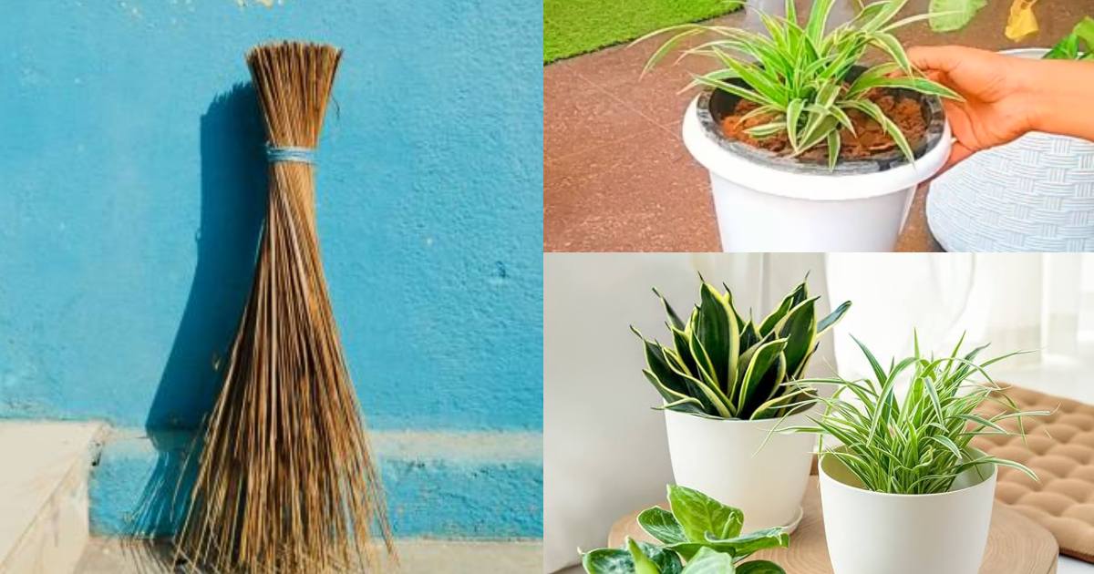Gardening Easy Tricks